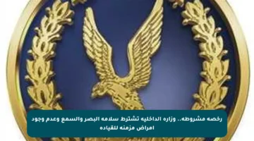 رخصة مشروطة.. وزارة الداخلية تشترط سلامة البصر والسمع وعدم وجود أمراض مزمنة للقيادة